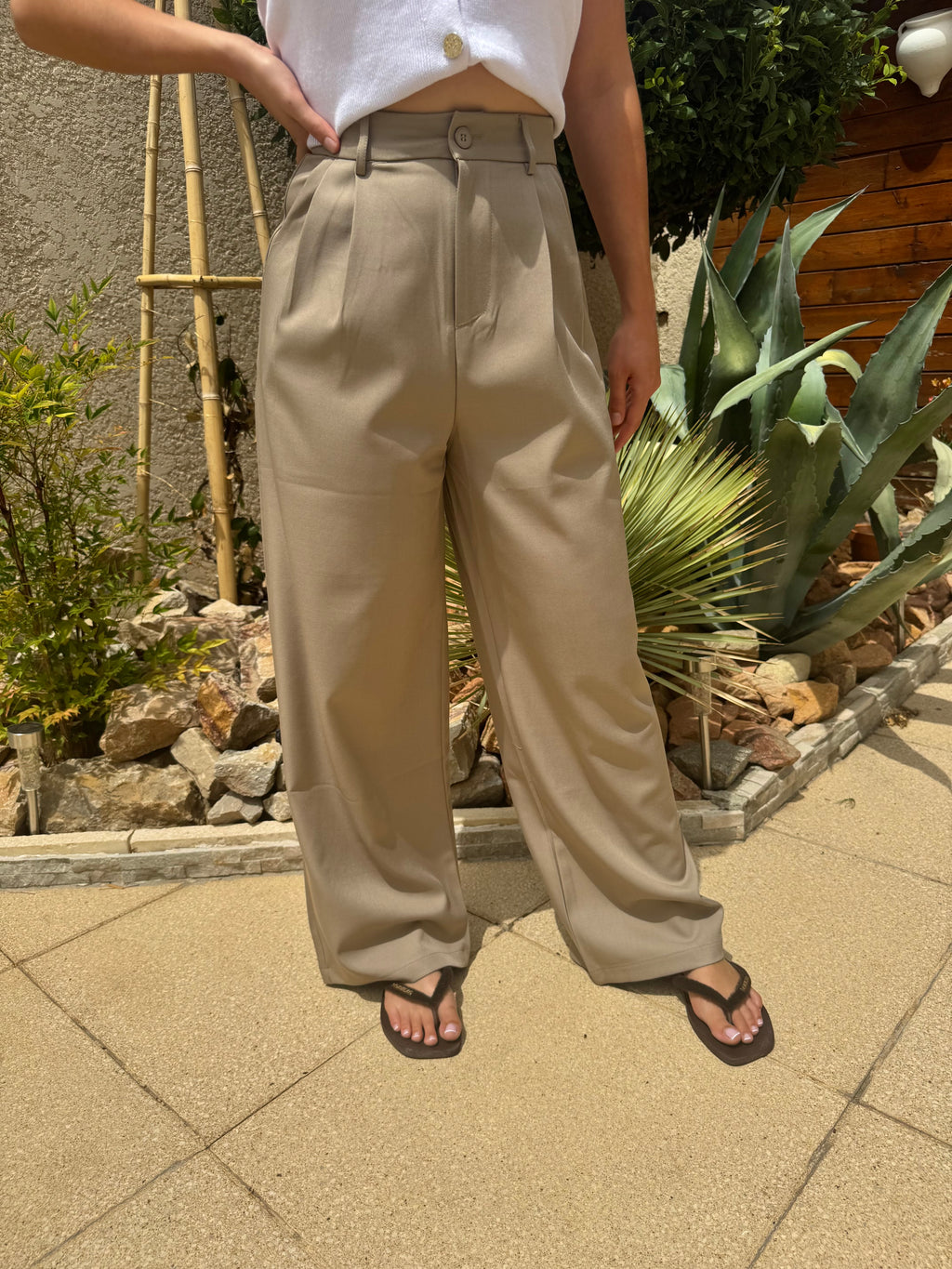 Pantalon Tailleur Wide Taupe